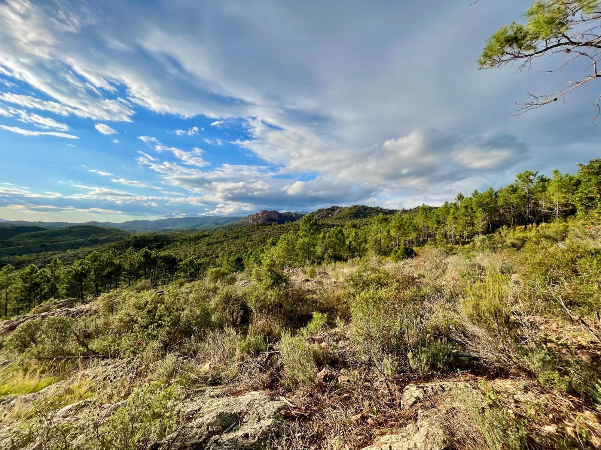 Village Cap Esterel, Piscine,